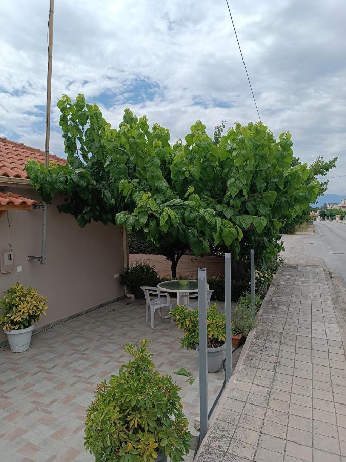 Chrysa'S House Apartment เอยิโอ ภายนอก รูปภาพ